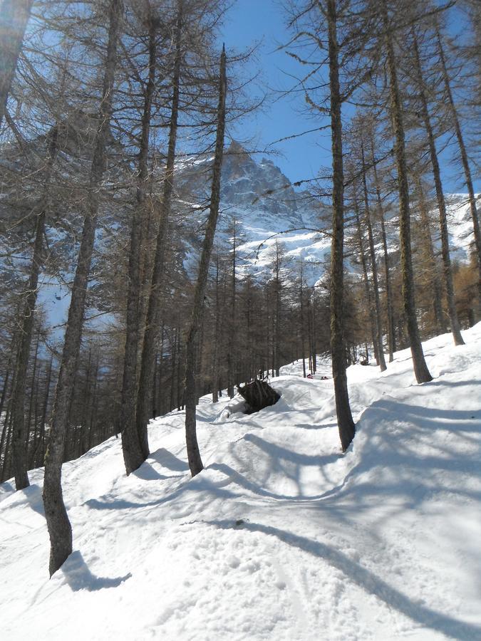 Готель Le Relais Des Ecrins Saint-Christophe-en-Oisans Екстер'єр фото